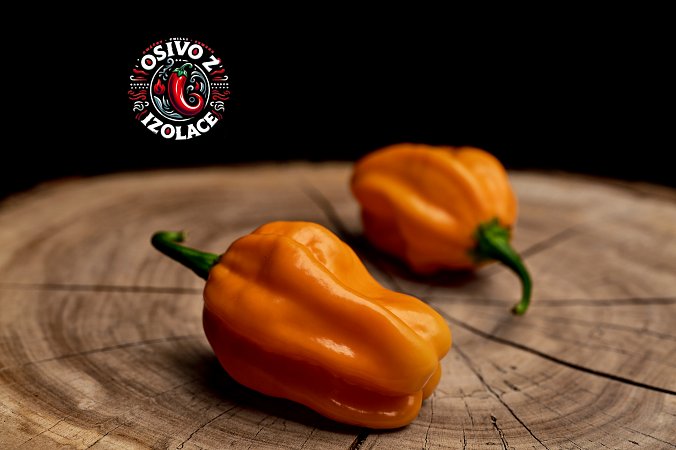 Hainan Yellow Lantern - ISO | Chilli semena