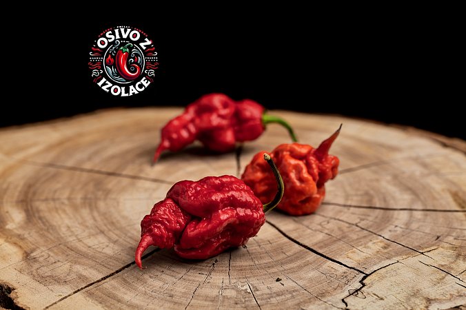 Purple Death - ISO | Chilli semena