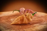 Bhut Jolokia Purple Peach - ISO • | Chilli semena