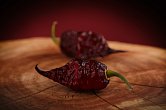 Fox Purple Ghost Gnarly Ruby - ISO | Chilli semena