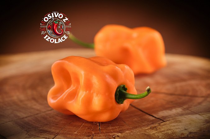 Roger's Giant Peach Habanero - ISO | Chilli semena