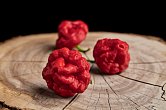 Foodorama Scotch Bonnet - ISO | Chilli semena
