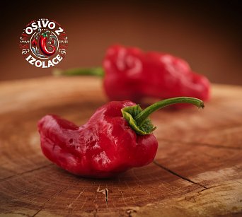 Pimientos de Padrón - ISO