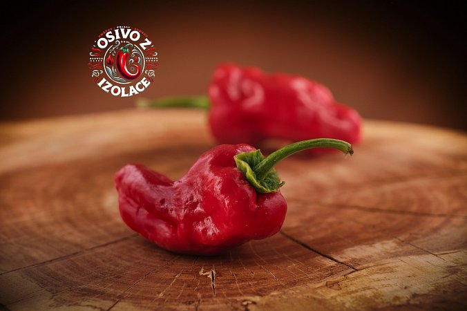 Pimientos de Padrón - ISO | Chilli semena