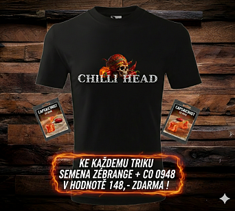 CHILLI SKULL