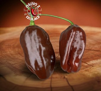 Habanero Ebony Giant - ISO